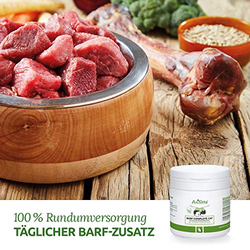 AniForte Barf Complete para Gatos 100g - Cuidado Completo, suplemento Barf en Polvo con Omega 3, levadura de Cerveza, taurina en Polvo, Plantas y Frutas Naturales, vitaminas y minerales