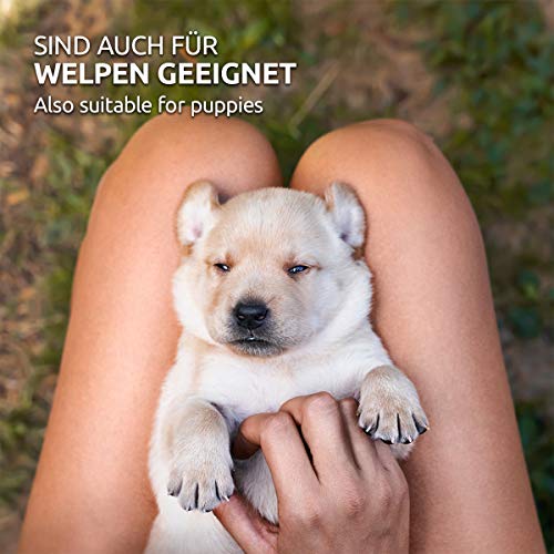 AniForte Digestox para perros 500g - para regular el estómago y los intestinos, ayuda a la digestión, une jugos gástricos y ácidos, armoniza la actividad gastrointestinal, granulado mineral de arcilla