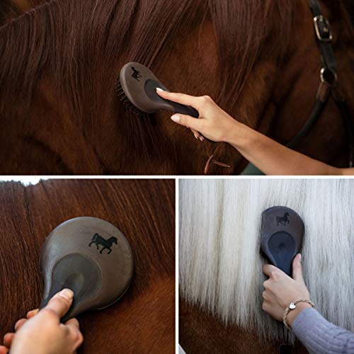 Animalon - Cepillo para crines y cola, para caballos, para crinos, color marrón