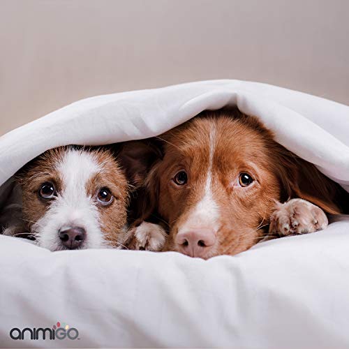 Animigo Calmante para Perros | Suplemento Tranquilizante Natural para Estrés y Ansiedad durante Viajes, Separaciones y Ruidos Fuertes como Fuegos Artificiales | Con Vitaminas y Minerales | 60 Cápsulas