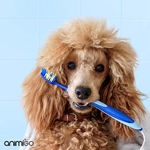 Animigo Pasta de Dientes para Perros y Gatos | Cuidado Dental Comestible para Mascotas | Limpieza Dental, Cuida los Dientes, Encías y Reduce Mal Aliento | con Calcio y Vitamina C | Pasta Dental 70gr