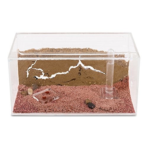 AntHouse - Hormiguero Natural de Arena - Kit Inicio Acrílico 20x10x10 cm (Hormigas Gratis)