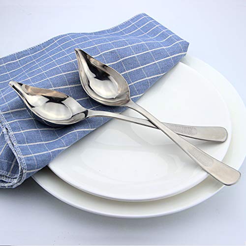 AOOSY Salsa de Acero Inoxidable Cuchara de llovizna con Boquilla cónica Cuchara de Postre Cucharas para Servir Cuchara para Decorar Aceite Saucier (Juego de 2)