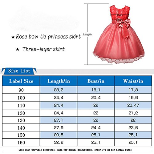 ARAUS Vestidos para Niñas Hermosa Chica del Desfile Boda Fiesta De Cumpleaños Princesa Dama De Honor