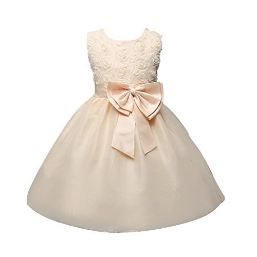 ARAUS Vestidos para Niñas Hermosa Chica del Desfile Boda Fiesta De Cumpleaños Princesa Dama De Honor