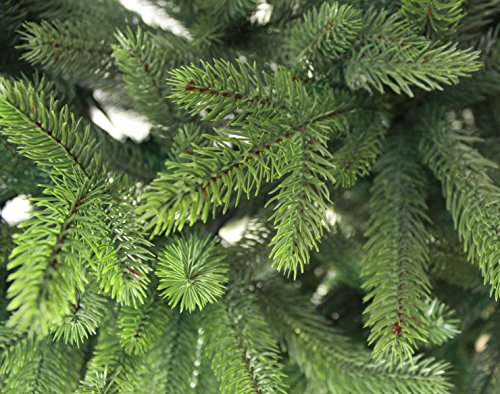 Árbol de Navidad artificial de 210 cm, 2,1 m de alta calidad, tipo abeto de Nordmann / del Cáucaso/boreal, puntas y hojas de pino moldeadas por inyección perfecta de polietileno, sistema de apertura plegable, en color verde, incl. soporte de metal, poco i