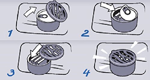 AREON Ken Ambientador Coche Coco Olor Tropical Dulce Fruit Hogar Aire Lata Debajo Asiento Marrón 3D (Pack de 3)