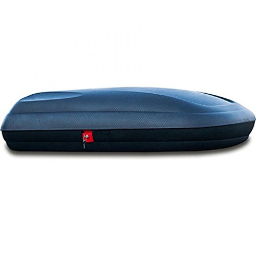 Art Plast Tronco de la caja del coche barras de techo Tronco de almacenamiento 320 LT universal Carbón