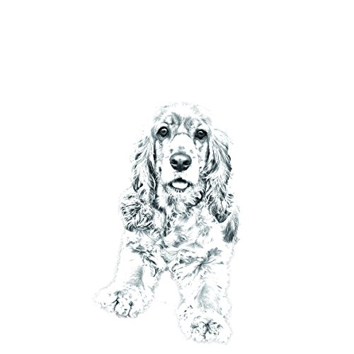 ArtDog Ltd. Cocker Spaniel Americano, nuevos llaveros con Perros de Pura Raza, sublimación