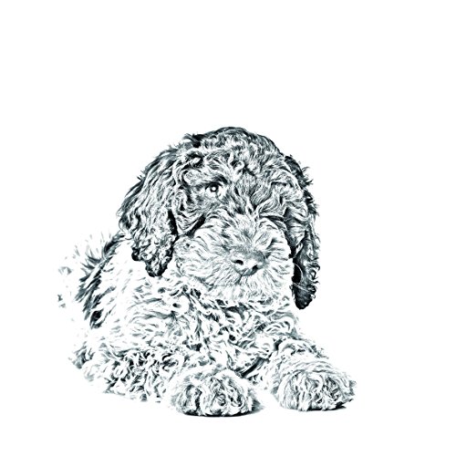 ArtDog Ltd. Perro de Agua Romagna, nuevos llaveros con Perros de Pura Raza, sublimación