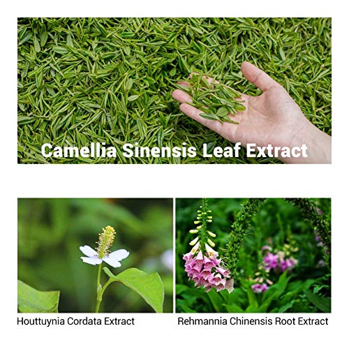 ARTIFUN Acné Tratamiento Anti Acne Serum, Eliminar Espinillas, Puntos Negros y Granos, Anti Imperfecciones Tratamiento contra el acne