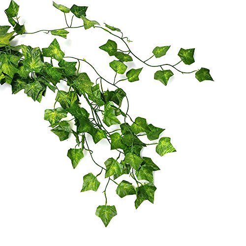 ATPWONZ 12 pcs Ivy Vine Garland Falso Artificial Colgante De La Planta Deja La Decoración Del Partido De La Pared Del Jardín 78 Pulgadas