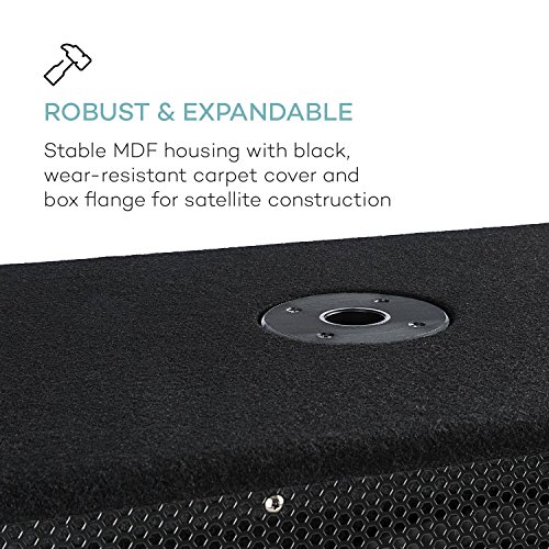 Auna Sub 15A - Subwoofer PA Activo, 600 W de Potencia de Salida, 15" (38 cm), 8 ohmnios, Tecnología Bi-Amping, Efecto Eco, Carcasa MDF con Funda, Conexión de Brida Integrado, Negro