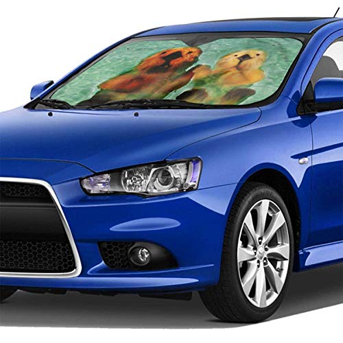 Aurora Sea Otter Mom Green Art Themed Interior Windshield Sun Shade Cover Car Windows Visor Kit Ornament Decor Outdoor Vehicle Accessories Sunshade Auto for Women Men