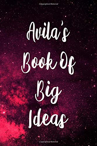 Avila's Book of Big Ideas