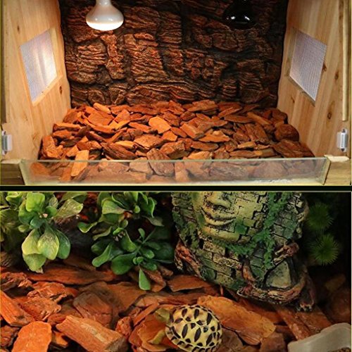 B Blesiya Reptiles Suelos Substrato Gande/Trigo Natural Pequeño y Sin Contaminación - Pequeño Suministro, 650G