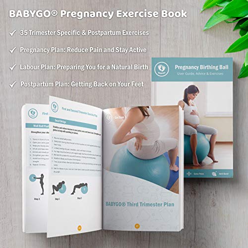BABYGO Pelota de Pilates Embarazadas, Fitball, Ejercicio, Balón de Gimnasia Anti-Burst 1000 KG para Parto y Embarazo,Yoga, Fitness Bola con Bomba + Gratis Manual de Ejercicios 65cm