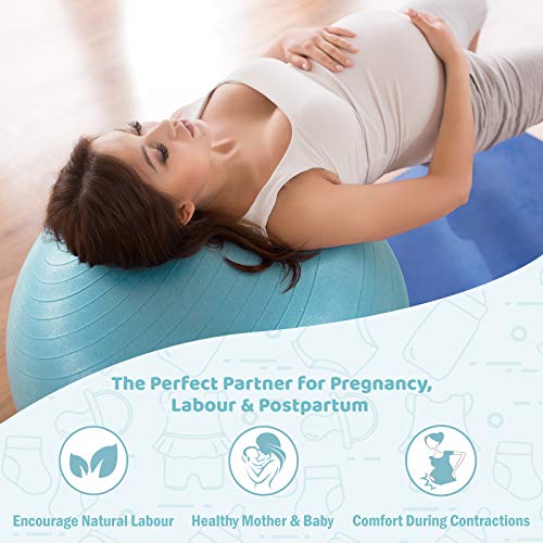 BABYGO Pelota de Pilates Embarazadas, Fitball, Ejercicio, Balón de Gimnasia Anti-Burst 1000 KG para Parto y Embarazo,Yoga, Fitness Bola con Bomba + Gratis Manual de Ejercicios 65cm