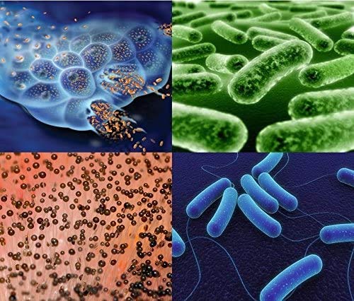 BacClinic: desinfectante clínico multisuperficie - Zonas de alto, medio y bajo riesgo - Sin aclarado - Spray 750mL