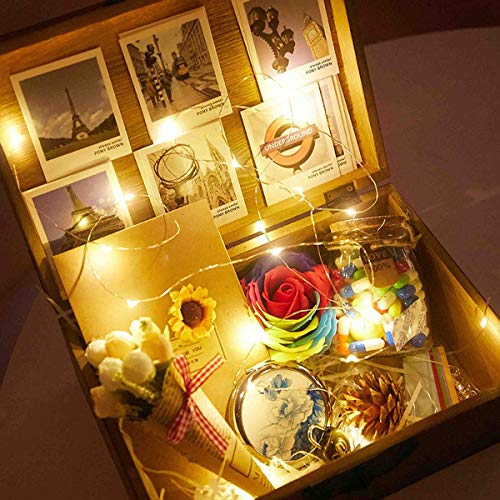 BACKTURE Luz de Botella, 2M 20 LED Guirnaldas Luminosas Botellas de Vino, Luces LED Decoración de Luces para Boda, DIY Fiesta, Adornos de Navidad - Blanco Cálido (20 pack)