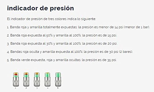 Ball Rescuer: Bote Presurizador de Pelotas de Pádel y Tenis - Modelo Básico: no Incluye Bomba ni envase.