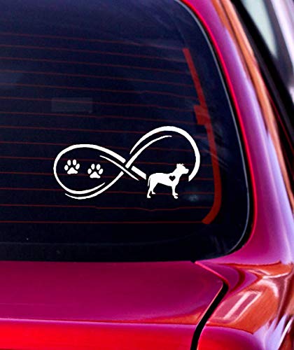 Bebe A Bordo Pegatina Coche 17.7x8.9Cm Pitbull Dog Eternity Paw Print Car Sticker s Cartoon Decalbumper Accesorios para el coche Laptop Window Sticker