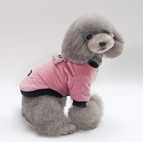 beifanged Ropa de Mascota, Color, Viento, protección contra Viento, Chaqueta de algodón, Rosa, XL