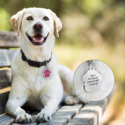 Beirui Placas de identificación Huellas Personalizadas en Acero Inoxidable de 24 mm para Perros y Gatos, con Grabado láser, Rosa Claro, S (0.9" diámetro)