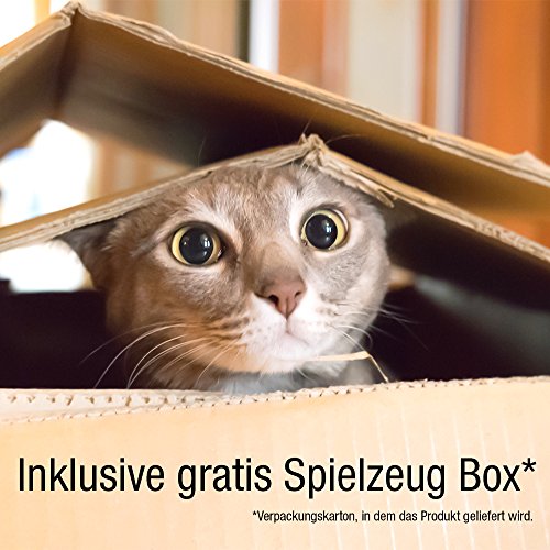 Bella & Balu Red para gatos (transp. | 4 x 3) Incl. gancho, tacos, cuerda e instrucciones – Red de protección para gato transparente para balcones, terrazas, ventanas y puertas