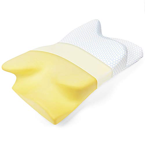 BESFAN Almohada Cervical Espuma Ortopedica, Almohada Viscoelastica Ergonomica Está Diseñada Especialmente para Acostarse sobre la Espalda y de Lado, 2pcs Funda Almohada 2 Alturas