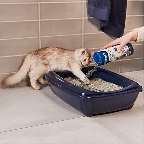 Biokat's Active Pearls con carbón activo – Aditivo neutralizador de olores para areneros de gatos – Prolonga el uso de la arena para gatos de uso común – 1 bote (1 x 700 ml)