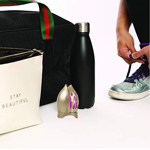 Blenderelle - Estuche de almacenamiento para esponja de maquillaje, estuche de viaje y soporte de exposición