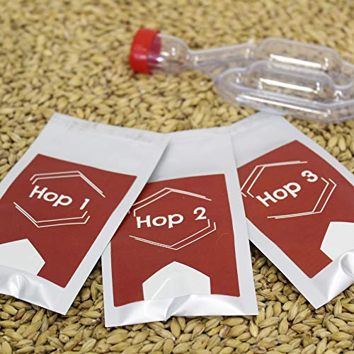 BNKR BEER Brew&Share | Kit para Hacer Cerveza Red Ale | Tu Cerveza en 2 semanas. Elaboración con maltas. Fermentación en Barril.