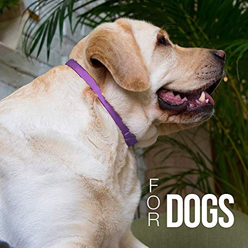 BodyOpia Collar ajustable para perros medianos y grandes. Ayuda a los perros nerviosos a relajarse y dejar de ladrar. Ecológico, flexible y cómodo de 80 cm para un niño o niña