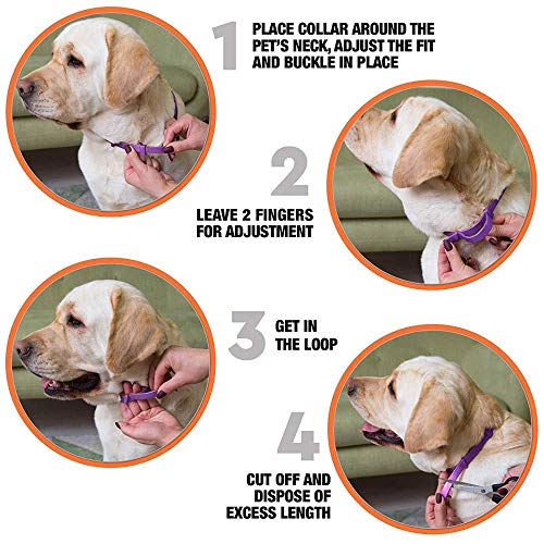 BodyOpia Collar ajustable para perros medianos y grandes. Ayuda a los perros nerviosos a relajarse y dejar de ladrar. Ecológico, flexible y cómodo de 80 cm para un niño o niña