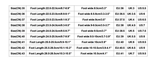 Botas Biker Planas tacón bajo Mujer Invierno PAOLIAN Botas Militares de Piel cuña con Cordones Forradas Piel Botas Camperas Medio Retro Zapatos Cuero Señora Calzado Otoño 36-41