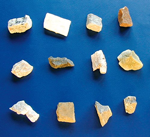 Bresser JUNIOR 20x Stereo Microscopio