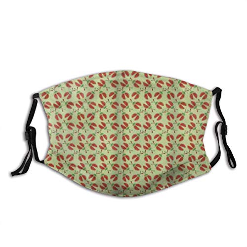 Bufanda Facial Unisex Reusable Nose Face Scarf Ladybug Funny with Open Wings Spring Fortune Joyful Mother Nature Mouth Scarf Adjustable Earloops with Replaceable Filter