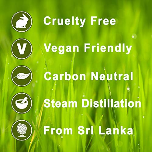 Calmer Solutions Citronela 100% Aceite De Aromaterapia Esencial Puro 100ml