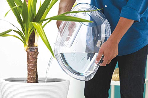 Candy CS H9A2DE-S - Secadora de bomba de calor 9Kgs, bomba de calor, cajón Easy Case, puerta XXL, certificado Woolmark, clase A++B, color blanco