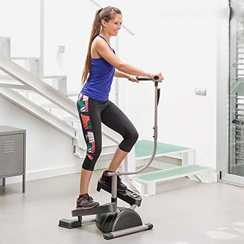 Cardio Twister Stepper con función Twist