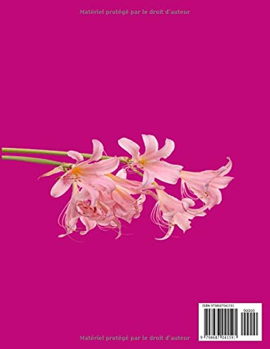 Carnet de maquillage: Vous avez envie de changer de tête mais vous ne savez pas par où commencer ? Ce carnet est fait pour vous. Idéal aussi pour un cadeau à une ado ou une jeune femme.