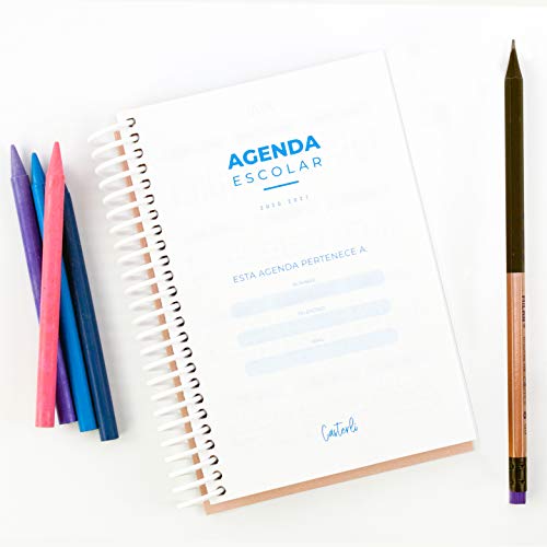 Casterli - Agenda Escolar 2020-2021 Basic Edition - Día Página, Tamaño A6 (Rosa)