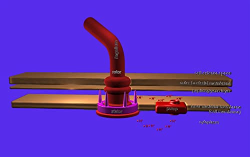 Cell Respiration (Glycolysis, Citric Acid Cycle, Respiratory Chain)