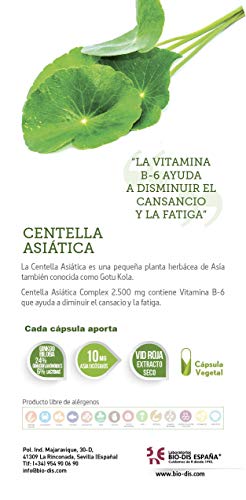 Centella asiatica complex 2500 mg 60 cápsulas vegetales con castaño de indias, vid roja, ginkgo biloba y vitamina B-6