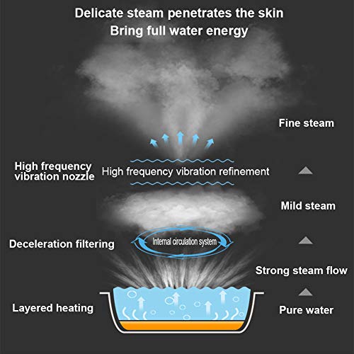CGBF-Vaporizador Facial Profesional Sauna Facial Steamer de La Cara Caliente Niebla Hidratante Inhalador Humidificador Spa para Una Limpieza Poros de La Espinilla Del Acné Calmante Sinusitis,Azul