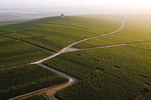 Champagne Moet & Chandon Brut 0,75 lt.