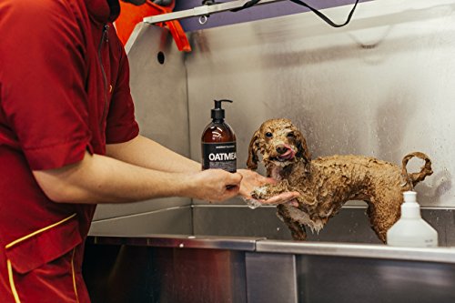Champú para perros de limpieza con harina de avena púrpura y coco para reducir la irritación y calmar la piel sensible - 500ml / 16.9 fl oz