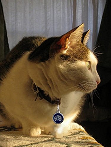 Champú Sólido Orgánico 85gr - Arcilla Roja para Cabello Seco - Secrets de Provence