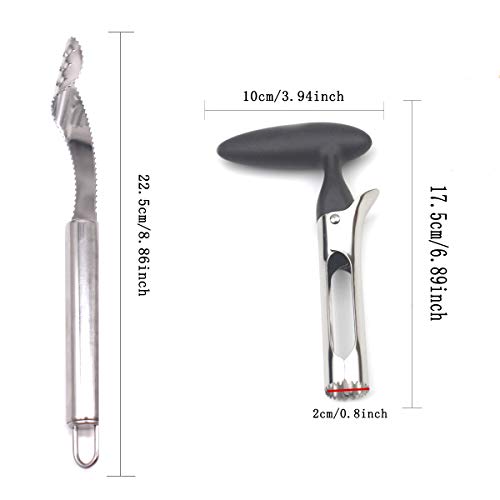 CHENKEE Descorazonador de Manzanas, 3 Piezas Corer De Manzana Acero Inoxidable Removedor Herramienta de eliminación de Semillas de hortalizas con Mango Antideslizante para el hogar y la Cocina